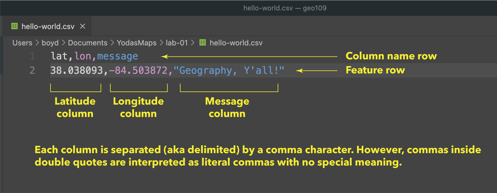 Viewing a CSV file