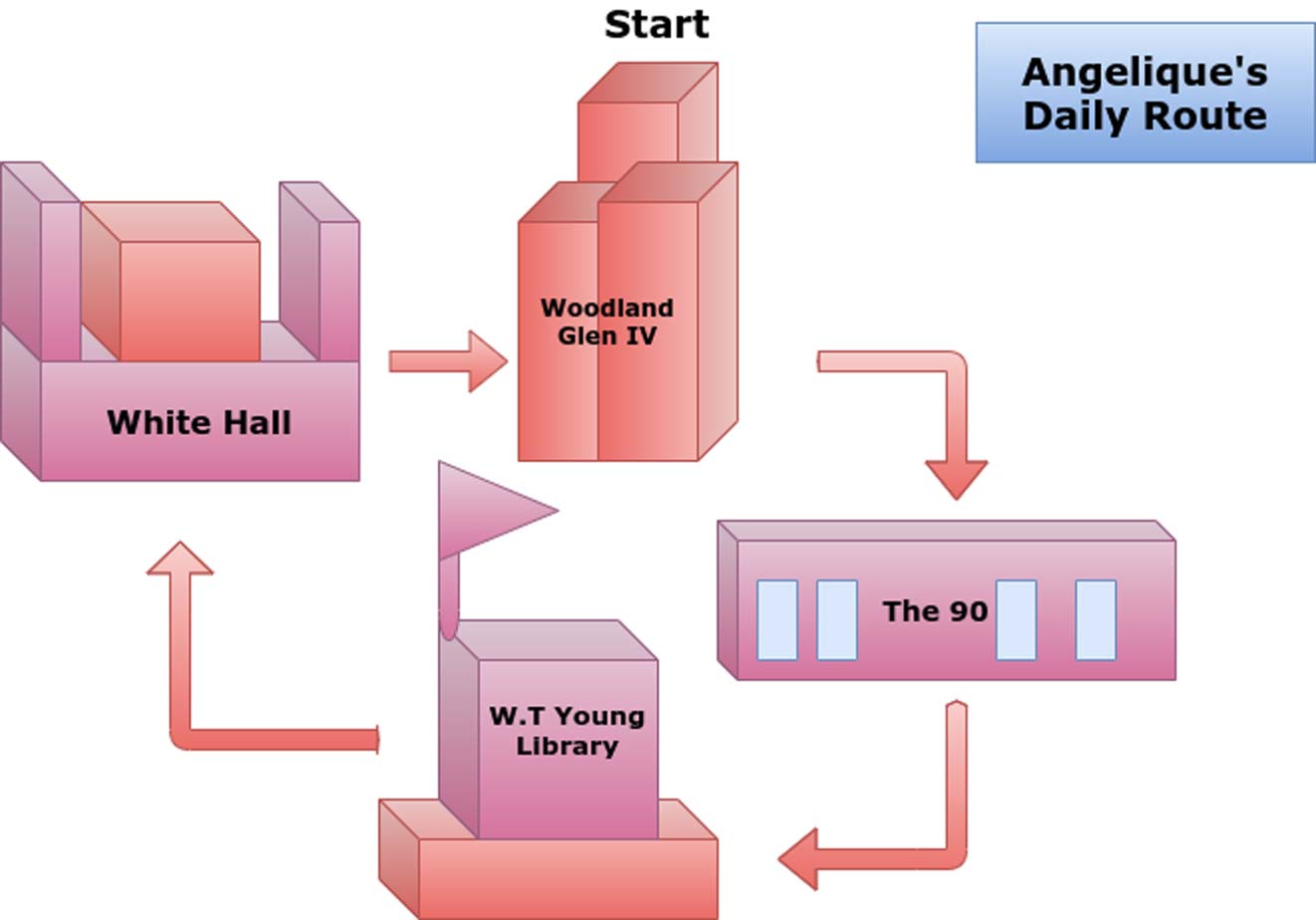 mental map